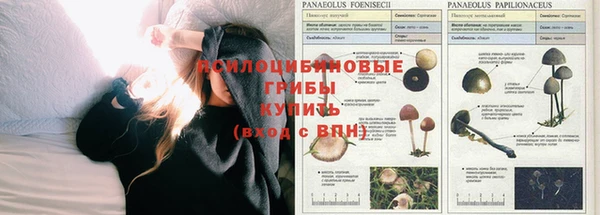 альфа пвп Богородск