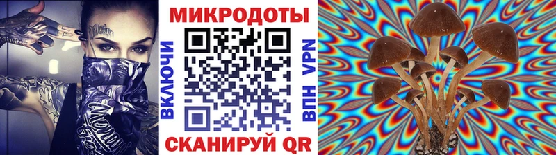 Псилоцибиновые грибы GOLDEN TEACHER  Крым 